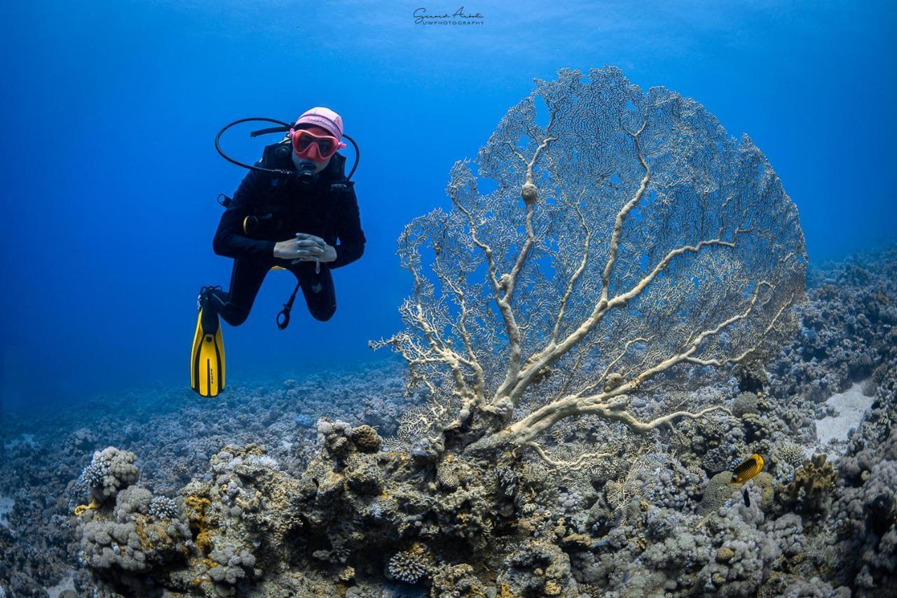 Bait Alaqaba Dive Center & Resort Екстер'єр фото